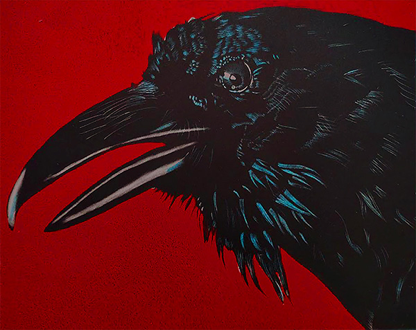Raven in Red