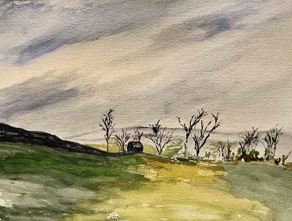 Shenandoah Farm