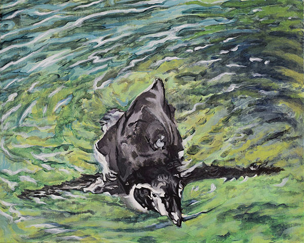 Swimming Penguin II
