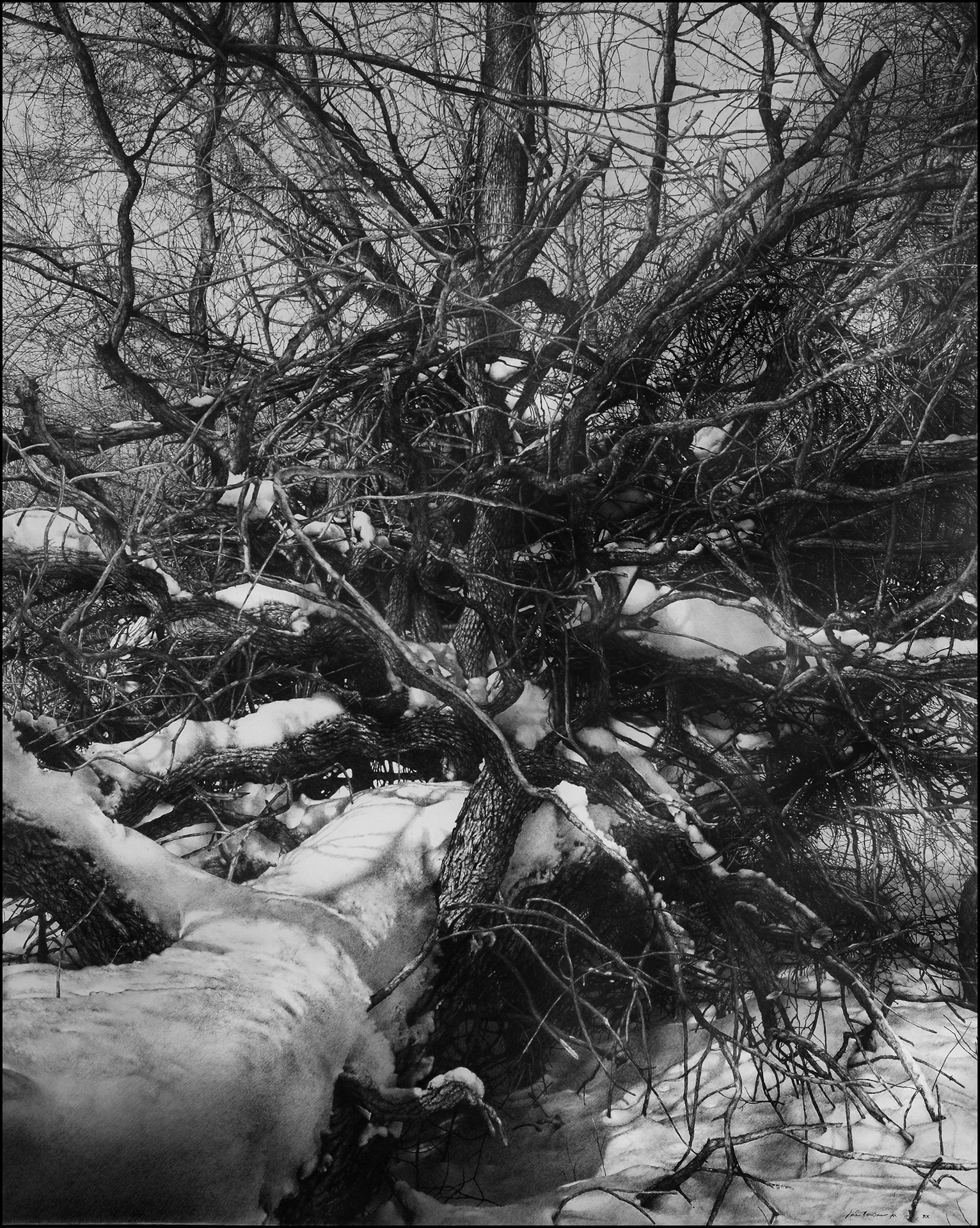 Fractured Patterns
